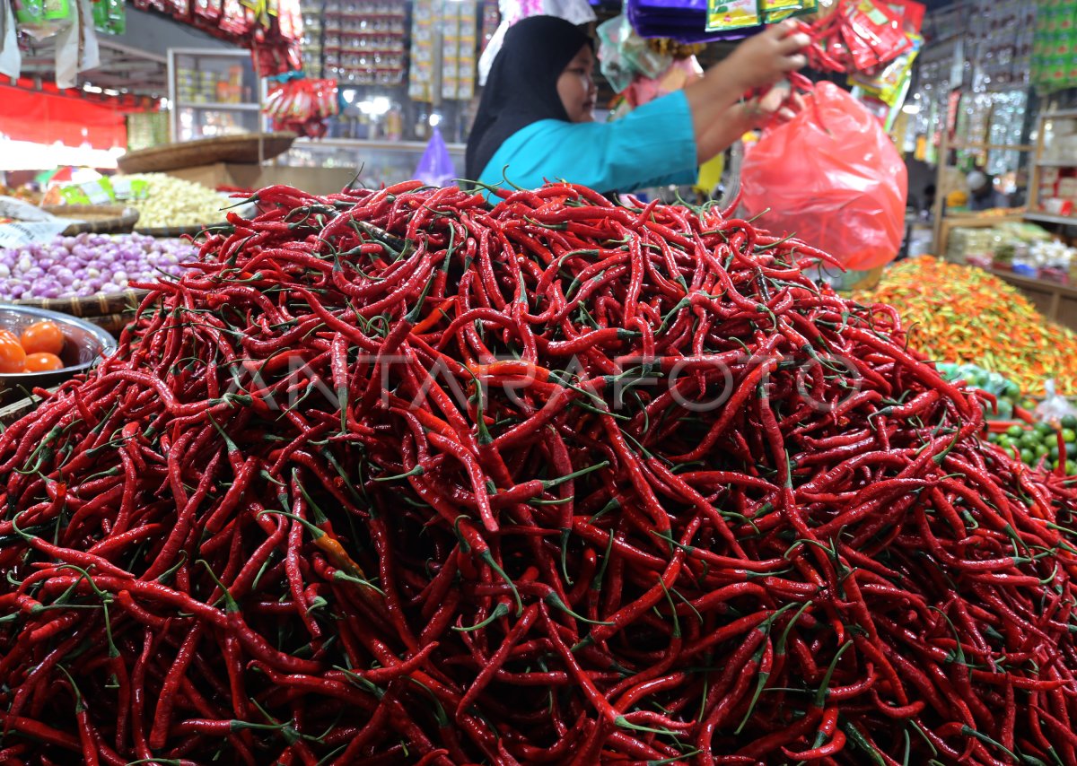 HARGA CABAI MERAH NAIK JELANG NATAL DAN TAHUN BARU DI TERNATE | ANTARA Foto