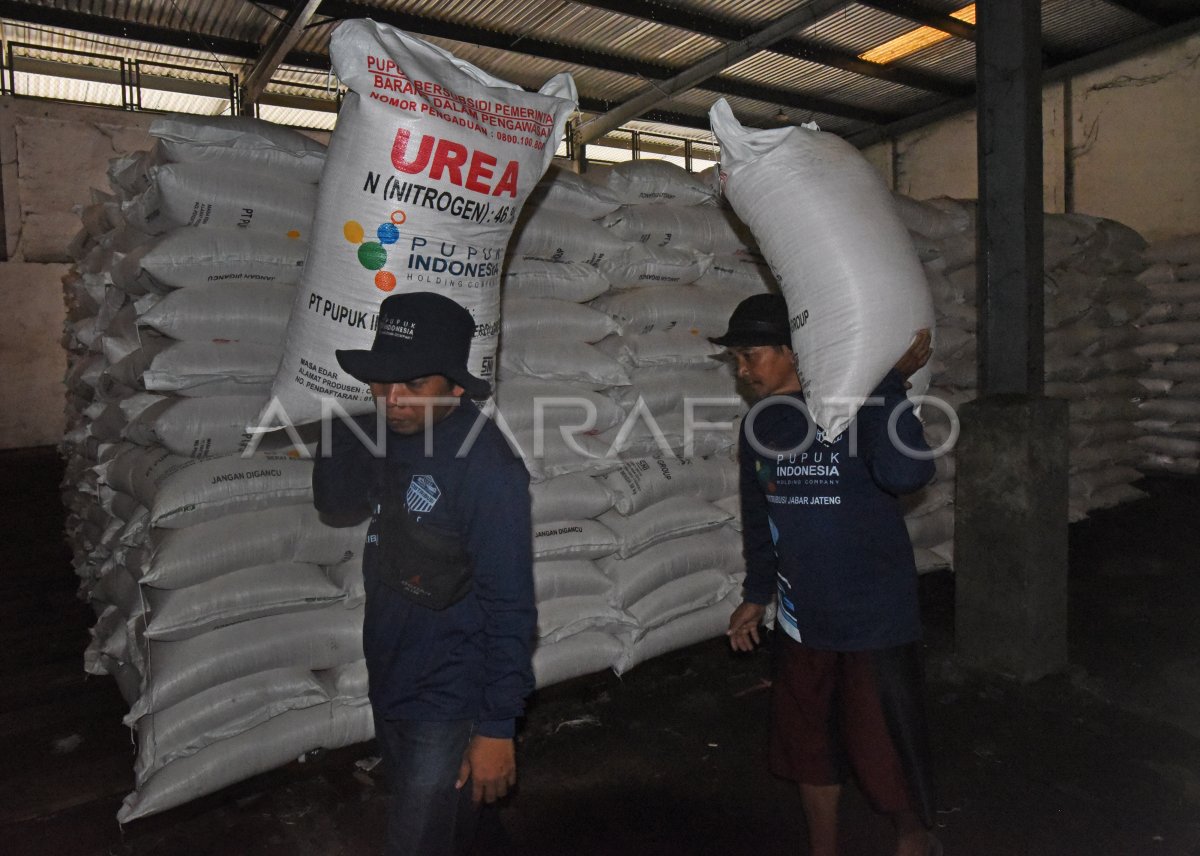 STOK PUPUK BERSUBSIDI DI BANTEN MENCUKUPI HINGGA AKHIR 2022 | ANTARA Foto