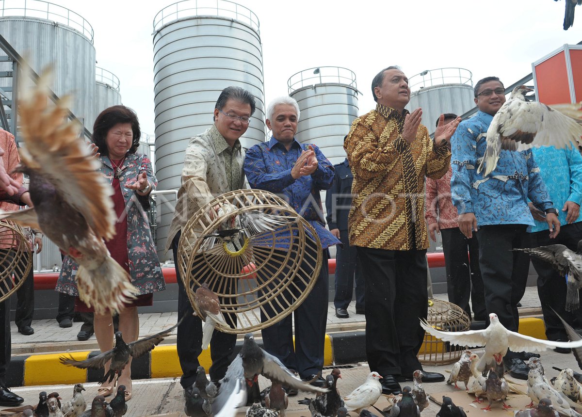 Pengolahan Kelapa Sawit Antara Foto