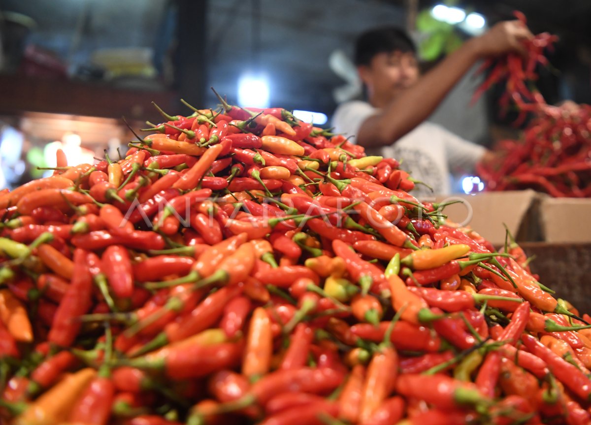 Harga Cabai Rawit Merah Melambung Menjelang Idul Adha | ANTARA Foto