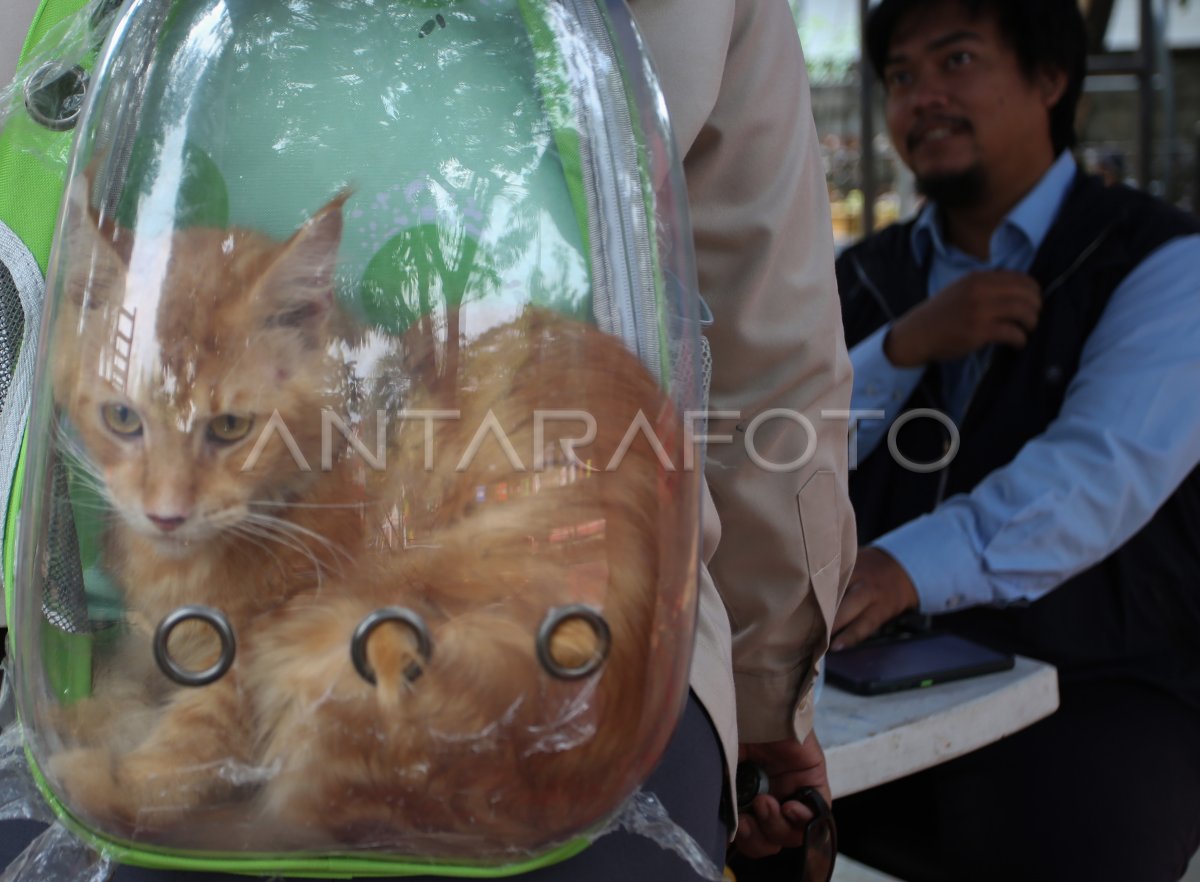 Vaksinasi rabies untuk hewan peliharaan