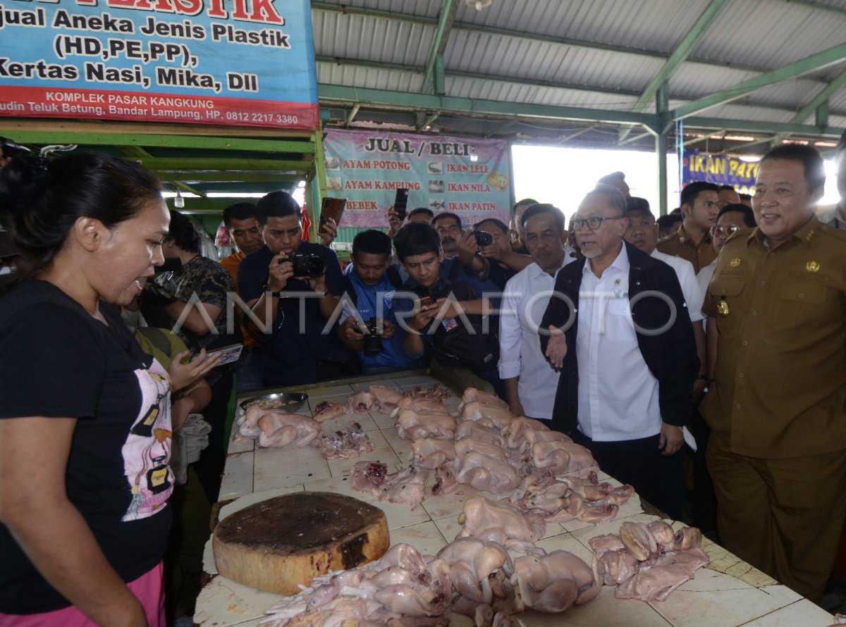 Mendag Tinjau Harga Kebutuhan Pokok Di Lampung | ANTARA Foto