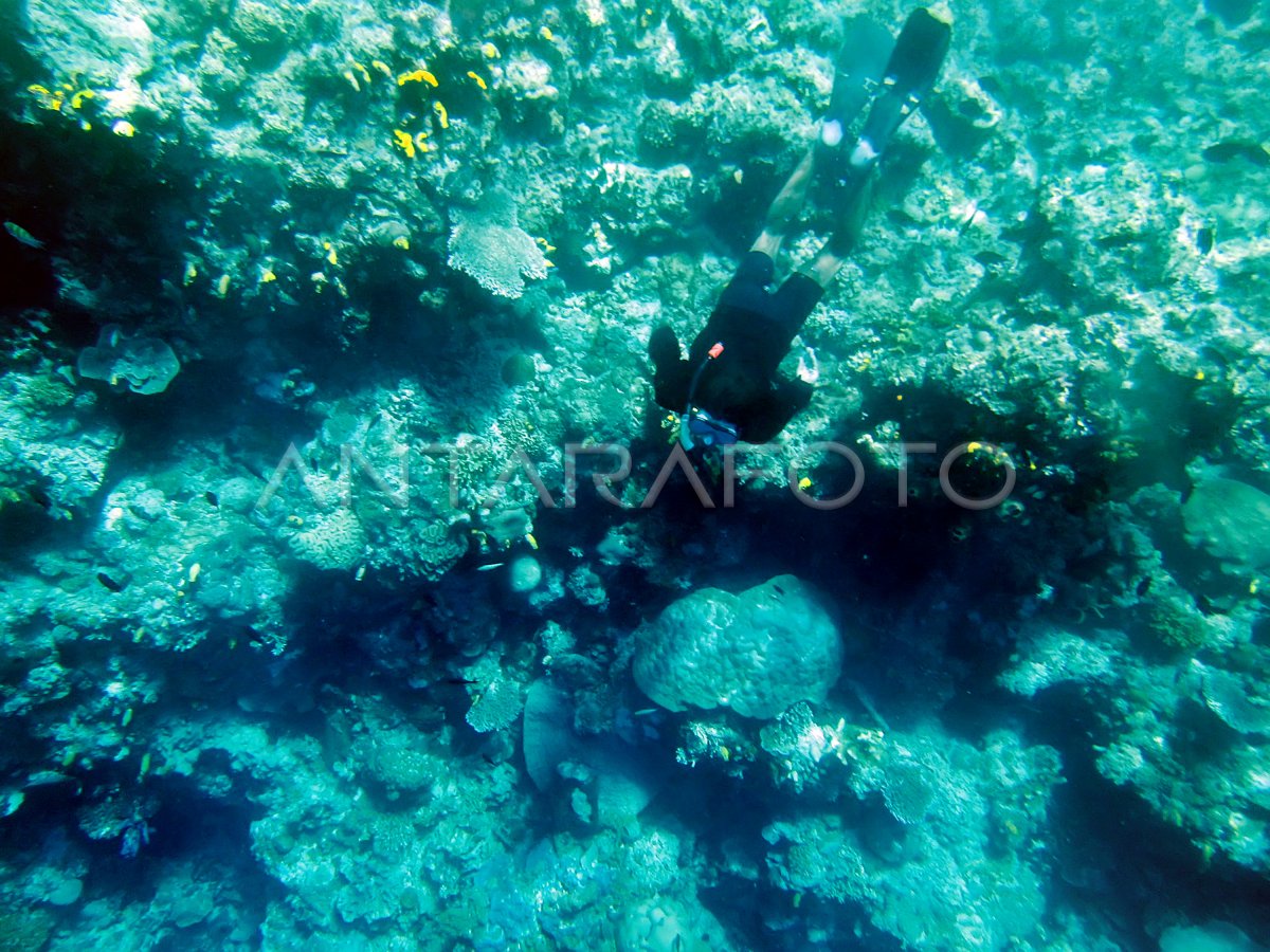 WISATA TAMAN LAUT BUNAKEN | ANTARA Foto