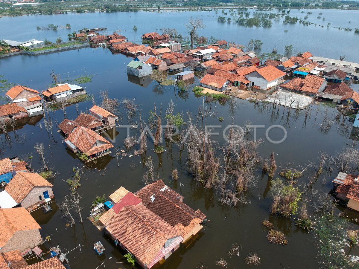 BANJIR ROB MASIH MENGGENANGI PEKALONGAN
