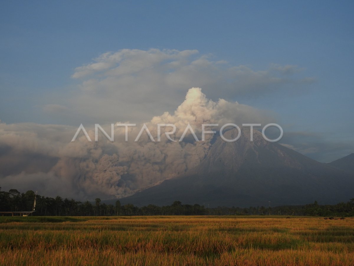 Luncuran Awan Panas Guguran Gunung Semeru Antara Foto