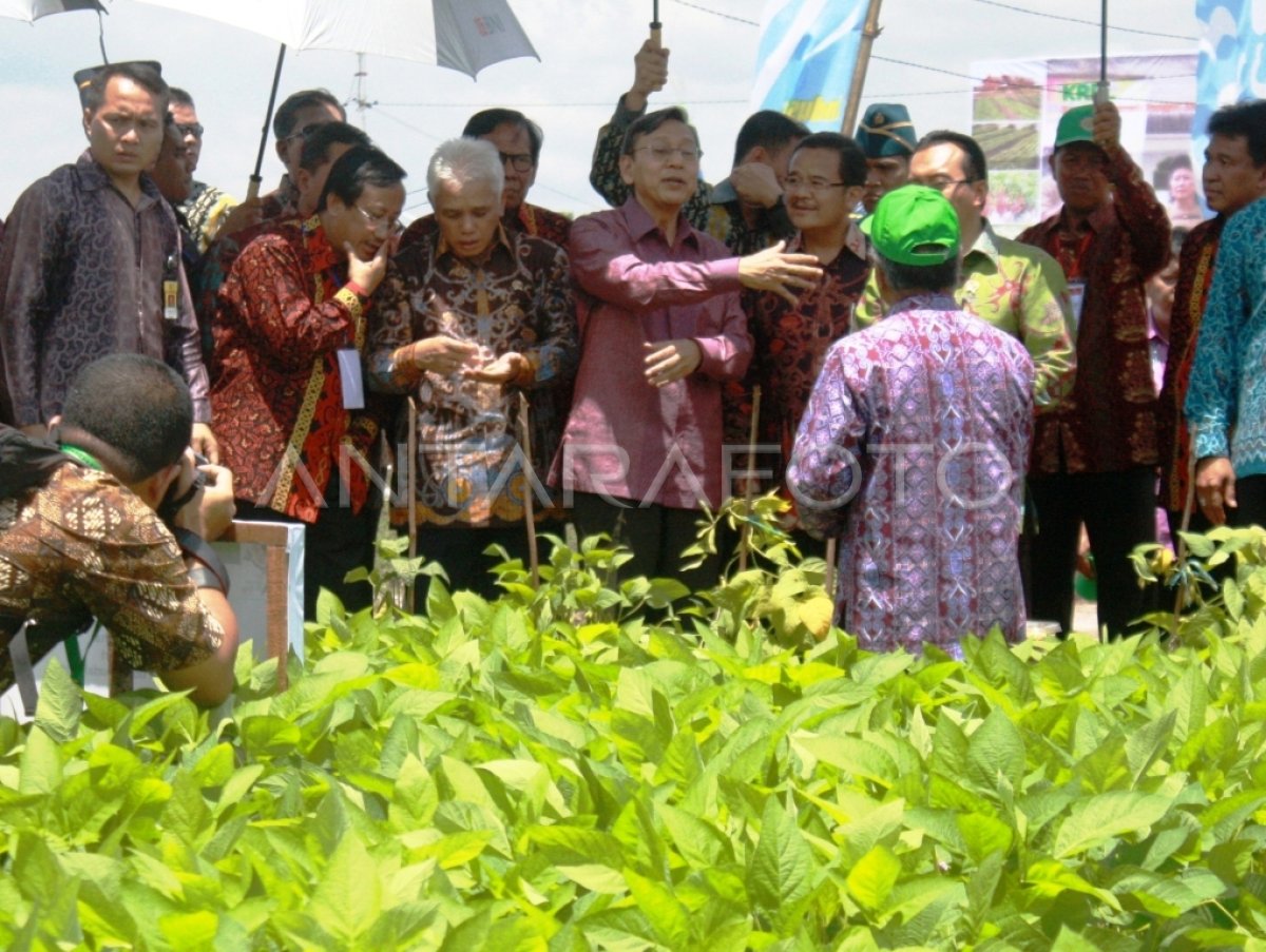 HARI PANGAN SEDUNIA | ANTARA Foto