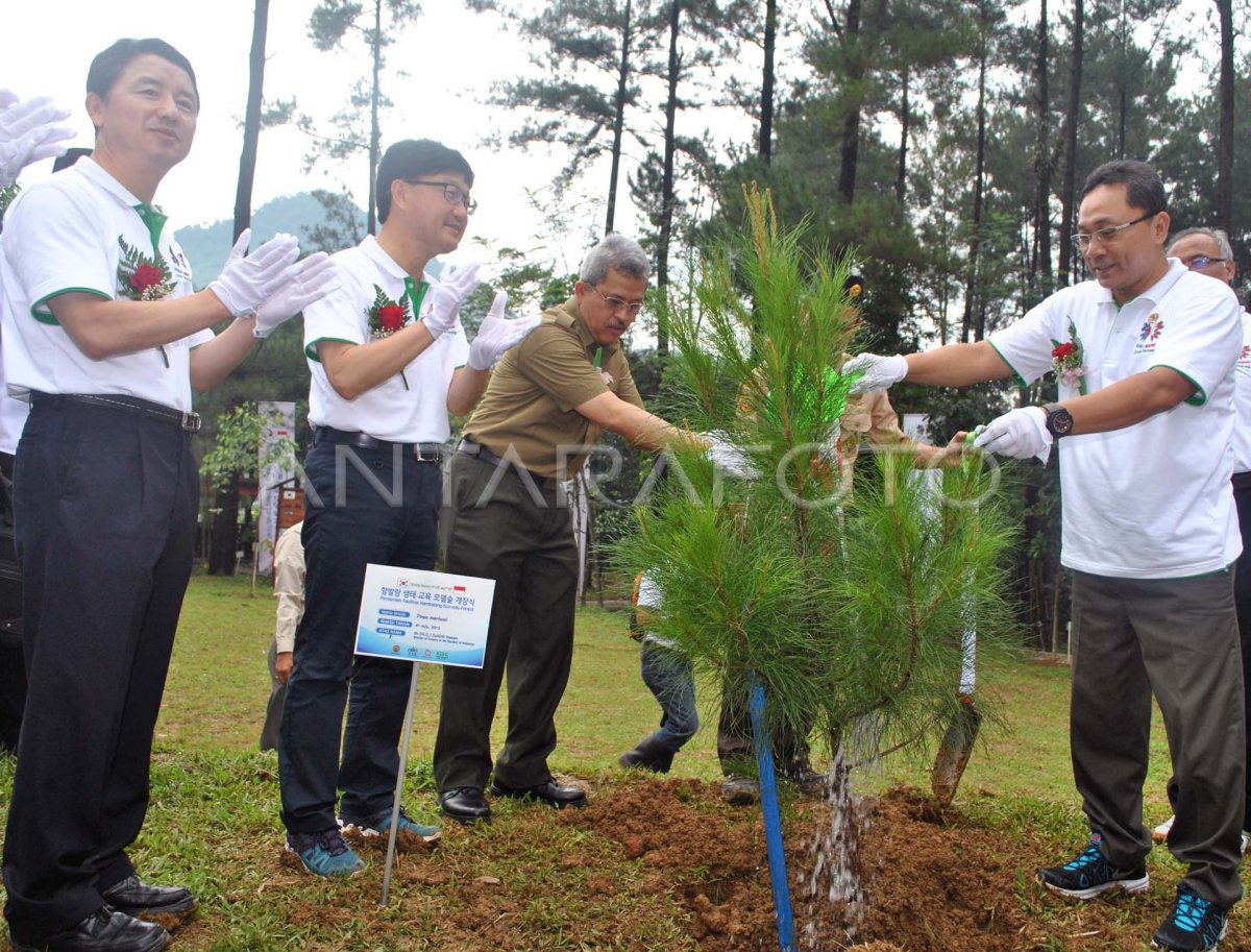 Konservasi Alam: Yuk Lestarikan Hutan Desa demi Kehidupan yang Lebih Baik!