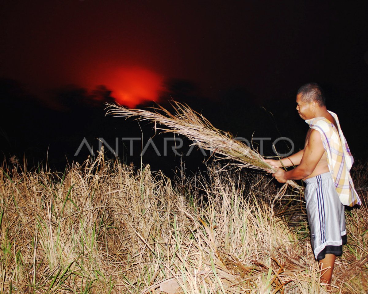 Waspada Kebakaran Lahan Antara Foto