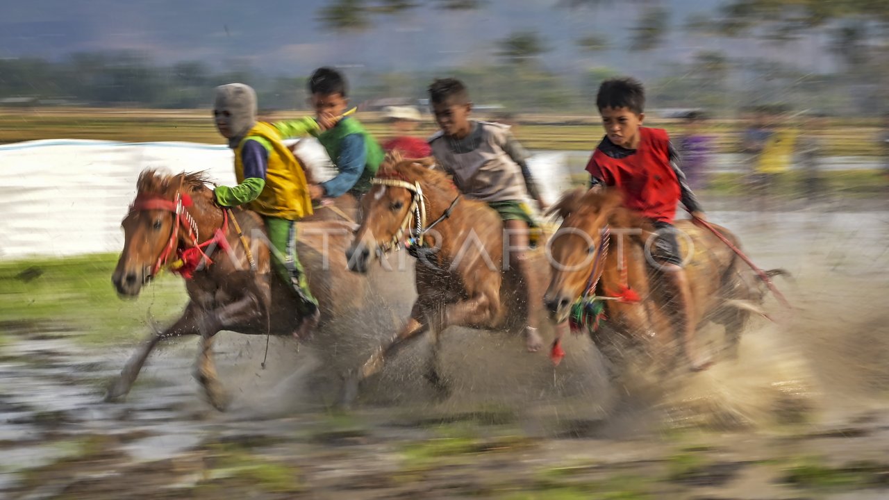 Indonesia's Largest Photojournalism And News Provider | ANTARA Foto