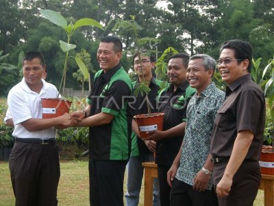 BIBIT POHON GRATIS ANTARA Foto BIBIT POHON GRATIS ANTARA Foto