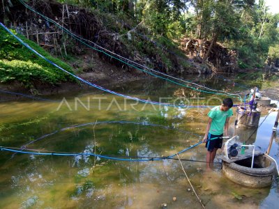 DAMPAK KEMARAU | ANTARA Foto