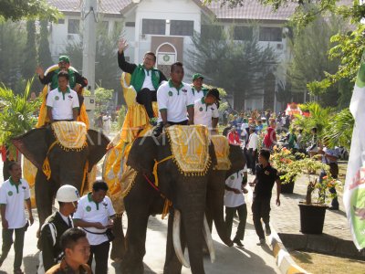 Sepakbola Gajah Olahraga yang Unik dan Penuh Tantangan