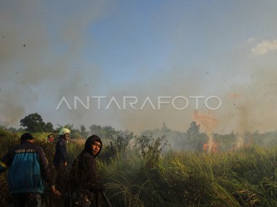 UPAYA PEMADAMAN KEBAKARAN LAHAN | ANTARA Foto