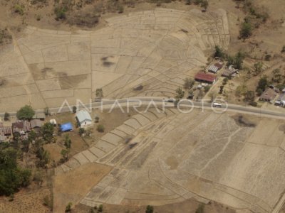 KEKERINGAN DI NTT MELUAS | ANTARA Foto