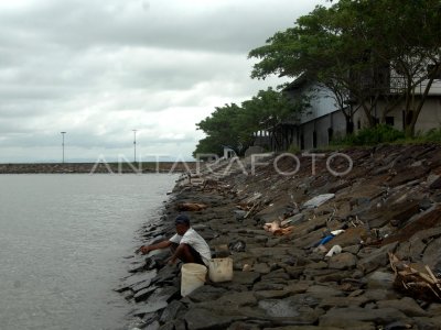 PELABUHAN PERIKANAN NUSANTARA UNTIA SEPI | ANTARA Foto