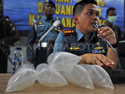 TNI AL GAGALKAN PENYELUNDUPAN BABY LOBSTER | ANTARA Foto