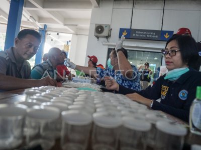 PEMERIKSAAN KESEHATAN SUPIR BUS | ANTARA Foto