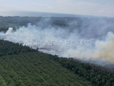 Kebakaran Lahan Gambut Di Aceh Jaya Antara Foto