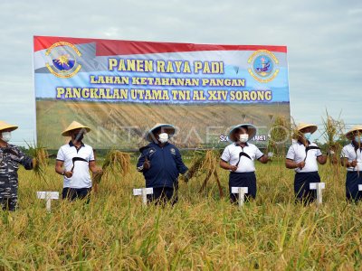 TNI AL MANFAATKAN LAHAN TIDUR MENJADI SAWAH | ANTARA Foto