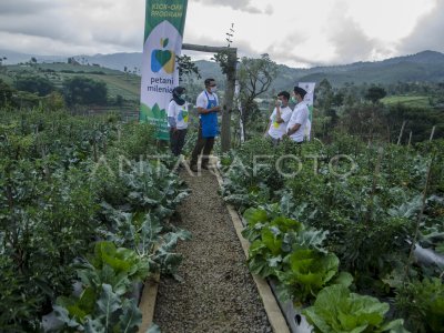 PROGRAM PETANI MILENIAL JABAR | ANTARA Foto