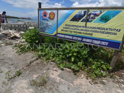 REHABILITASI TERUMBU KARANG PASCA BENCANA | ANTARA Foto