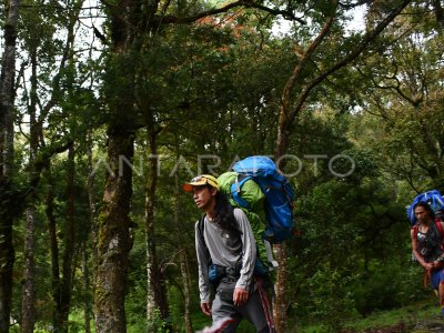 JALUR PENDAKIAN GUNUNG LAWU | ANTARA Foto