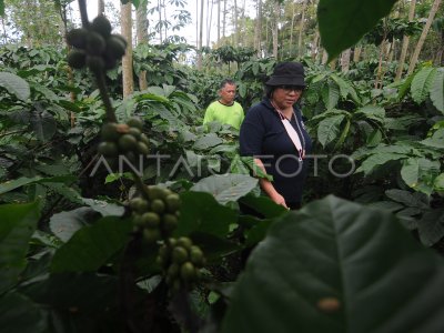 PENGEMBANGAN DESA WISATA EDUKASI BERBASIS MASYARAKAT | ANTARA Foto