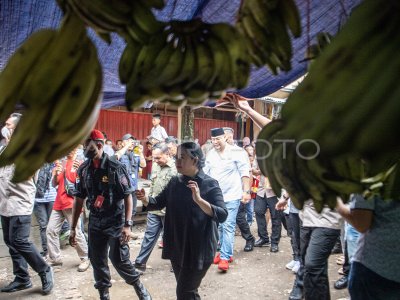 PUAN MAHARANI SIDAK HARGA KEBUTUHAN BAHAN POKOK | ANTARA Foto