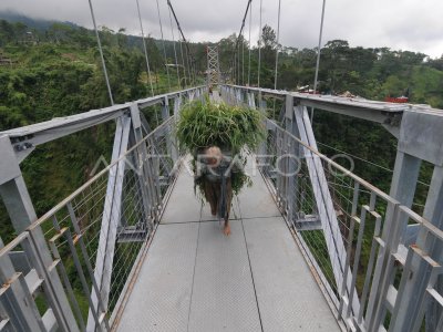 JEMBATAN GANTUNG GIRPASANG DI KAWASAN LERENG MERAPI | ANTARA Foto