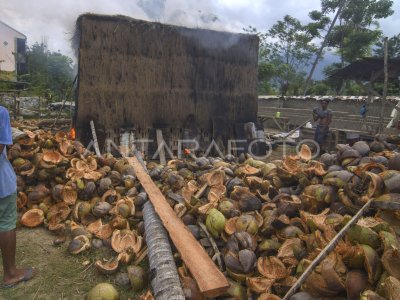 SABUT KELAPA SEBAGAI BAHAN BAKAR | ANTARA Foto