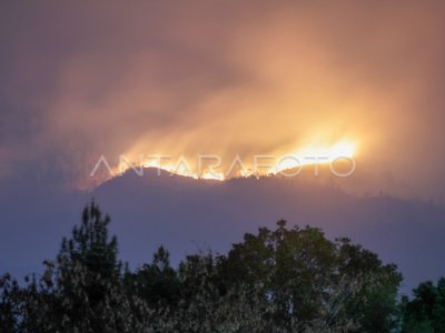 Kebakaran Hutan Dan Lahan Di Gunung Arjuno | ANTARA Foto