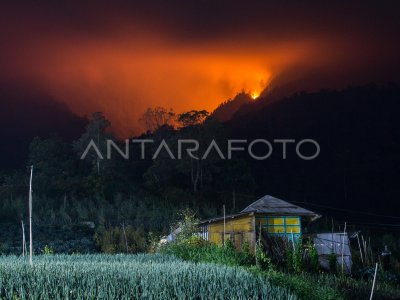 Tanggap Darurat Kebakaran Gunung Lawu Di Karanganyar | ANTARA Foto