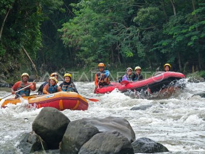 Wisata arung jeram di kawasan Borobudur | ANTARA Foto