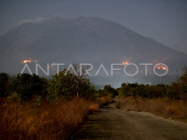 Indonesia's Largest Photojournalism And News Provider | ANTARA Foto