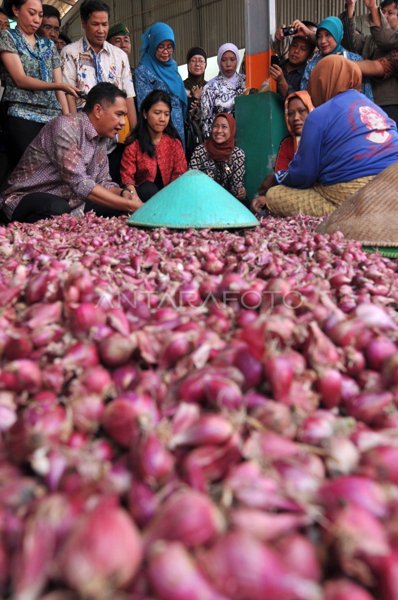 MENINJAU PROSES PENGERINGAN BAWANG ANTARA Foto
