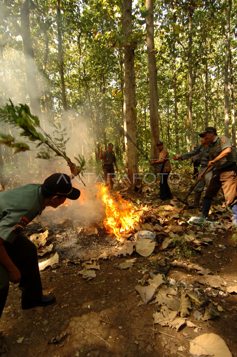 SIMULASI PEMADAMAN KEBAKARAN HUTAN | ANTARA Foto