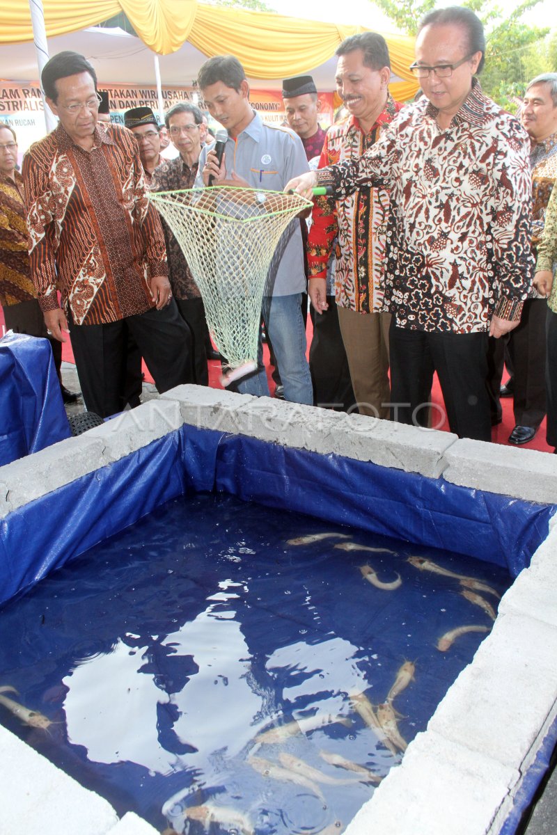 BANTUAN BUDIDAYA PERIKANAN | ANTARA Foto