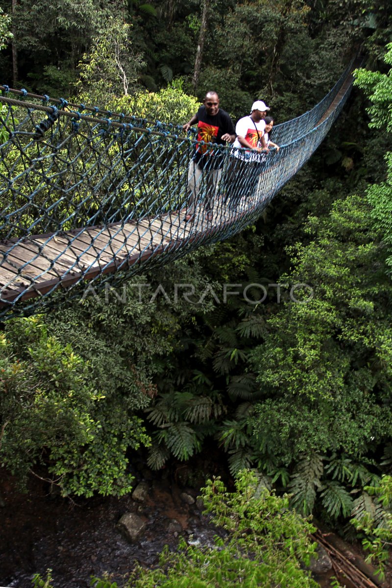 WISATA GUNUNG HALIMUN SALAK