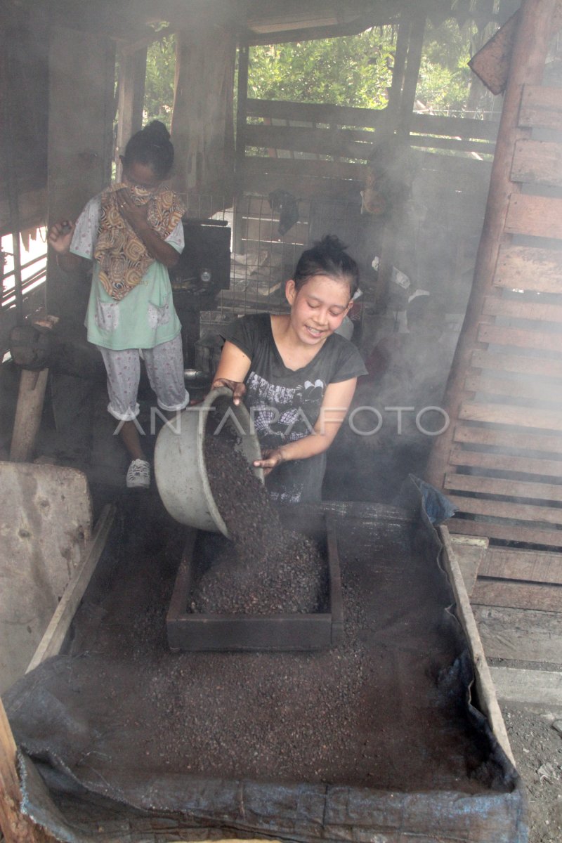 PENGOLAHAN KOPI TRADISIONAL ACEH | ANTARA Foto