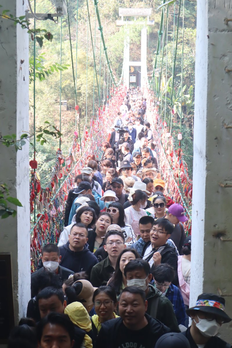 JEMBATAN TAMAN HUTAN YUNNAN