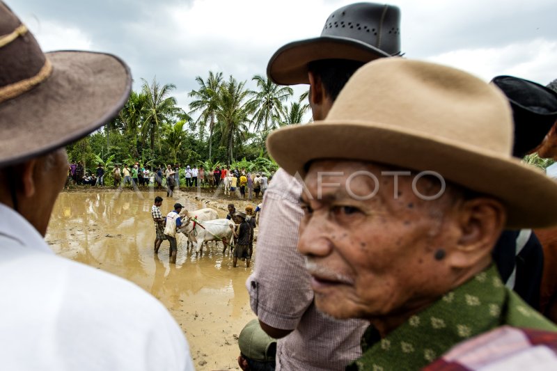 PESTA TRADISI ALA MINANGKABAU | ANTARA Foto