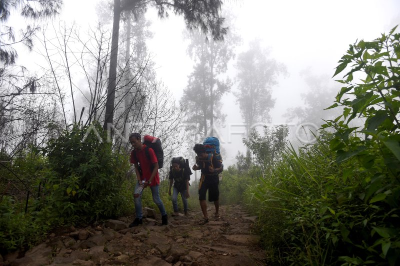 Memburu Matahari Terbit Di Puncak Arjuno Antara Foto