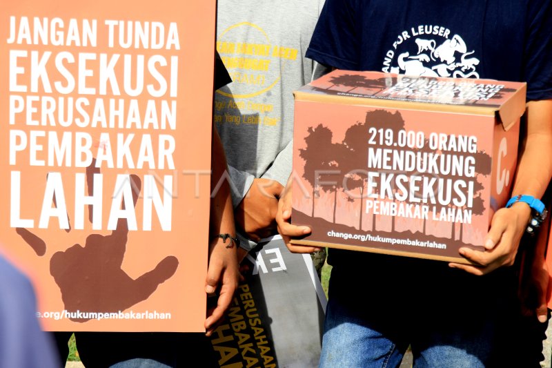 TUNTUT EKSEKUSI PERUSAHAAN PEMBAKAR LAHAN GAMBUT | ANTARA Foto