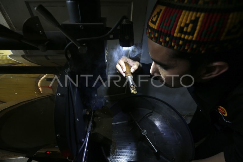 kopi arabika gayo di kebun petani