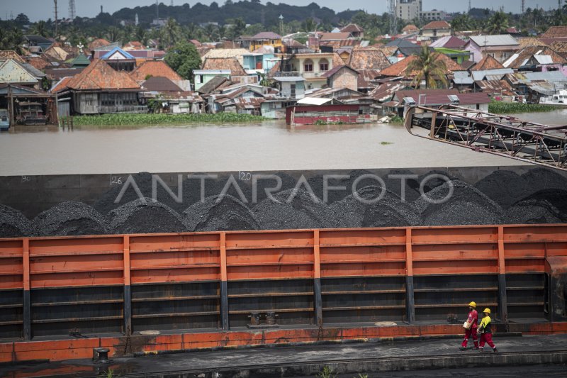 LARANGAN EKSPOR BATUBARA | ANTARA Foto