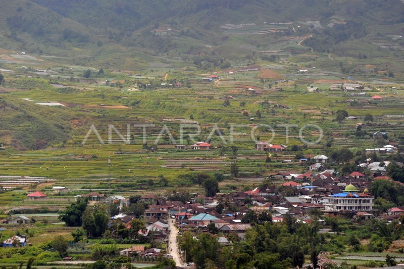 KOPI SOLOK RADJO YANG MENDUNIA | ANTARA Foto