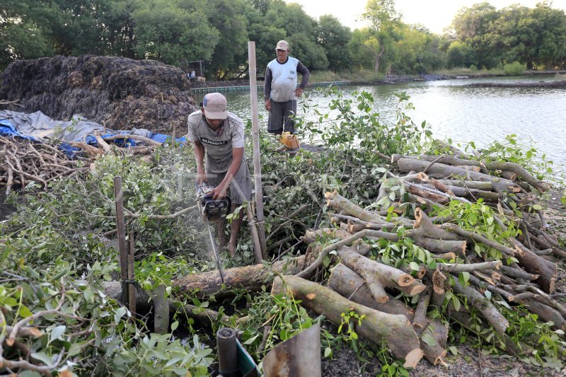 Kerusakan Hutan Mangrove Indonesia Antara Foto