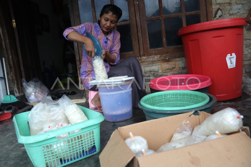 PERMINTAAN KOLANG KALING MENINGKAT ANTARA Foto