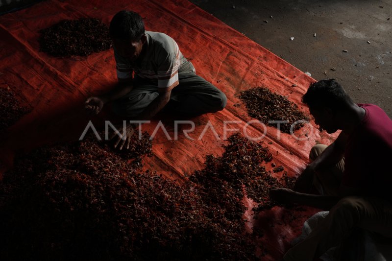 Harga bunga pala naik | ANTARA Foto