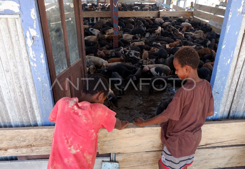 Bantuan Pemberdayaan Masyarakat Di Papua | ANTARA Foto